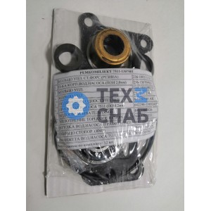 Ремкомплект водяного насоса двиг.7511 полный (12 наим.)